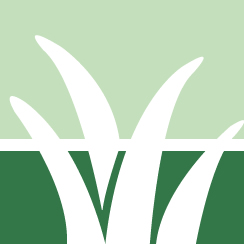 MW Poison Oak Removal